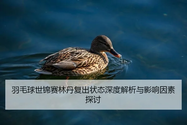 羽毛球世锦赛林丹复出状态深度解析与影响因素探讨
